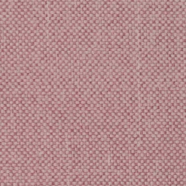 Rosa (4203)
