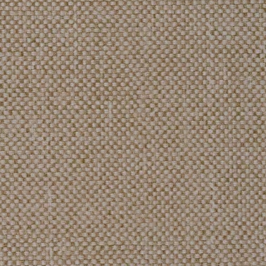 Haselnuss (6025)
