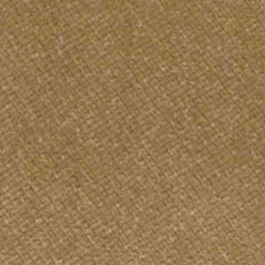 Haselnuss (5144)