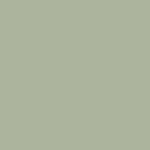 Couleur Vert pistache