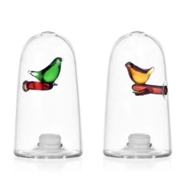 Petits oiseaux