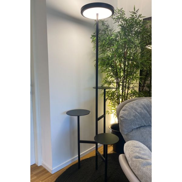 Ikebana Lamp - EXPO Mogg
