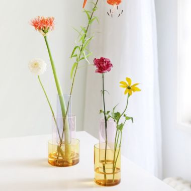 Amphi Vase